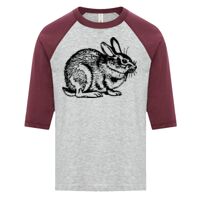 ATC EUROSPUN RING SPUN BASEBALL YOUTH TEE Thumbnail