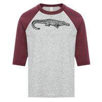 ATC EUROSPUN RING SPUN BASEBALL YOUTH TEE Thumbnail