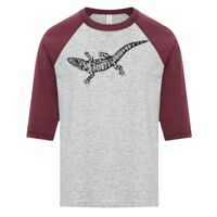 ATC EUROSPUN RING SPUN BASEBALL YOUTH TEE Thumbnail