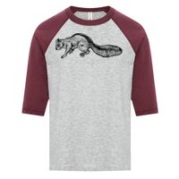 ATC EUROSPUN RING SPUN BASEBALL YOUTH TEE Thumbnail