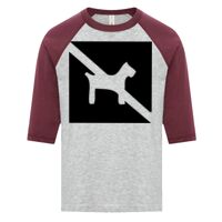 ATC EUROSPUN RING SPUN BASEBALL YOUTH TEE Thumbnail