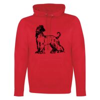 GAME DAY HOODIE Thumbnail