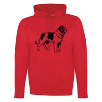 GAME DAY HOODIE Thumbnail