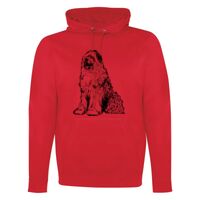 GAME DAY HOODIE Thumbnail