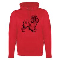 GAME DAY HOODIE Thumbnail