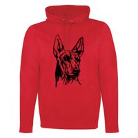 GAME DAY HOODIE Thumbnail