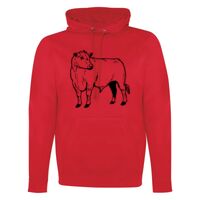 GAME DAY HOODIE Thumbnail