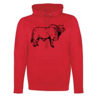 GAME DAY HOODIE Thumbnail