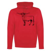 GAME DAY HOODIE Thumbnail