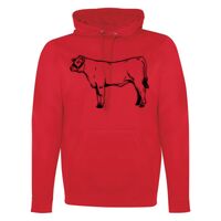 GAME DAY HOODIE Thumbnail