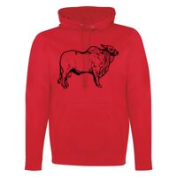 GAME DAY HOODIE Thumbnail