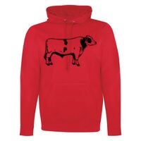 GAME DAY HOODIE Thumbnail