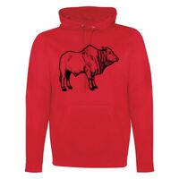 GAME DAY HOODIE Thumbnail