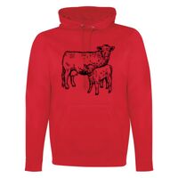 GAME DAY HOODIE Thumbnail