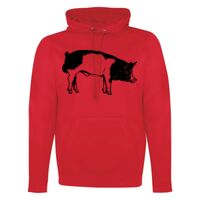 GAME DAY HOODIE Thumbnail