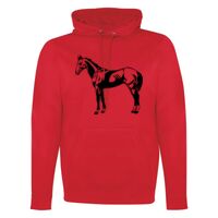 GAME DAY HOODIE Thumbnail