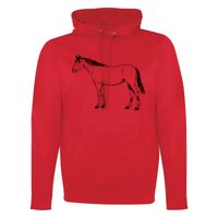 GAME DAY HOODIE Thumbnail