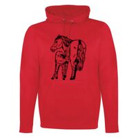 GAME DAY HOODIE Thumbnail