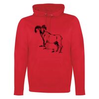 GAME DAY HOODIE Thumbnail