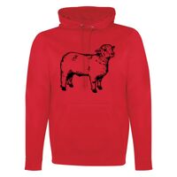 GAME DAY HOODIE Thumbnail