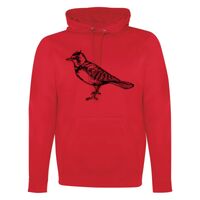 GAME DAY HOODIE Thumbnail