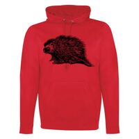 GAME DAY HOODIE Thumbnail