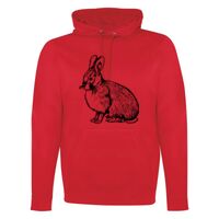 GAME DAY HOODIE Thumbnail