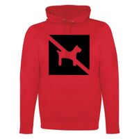 GAME DAY HOODIE Thumbnail