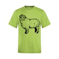 ACTIVE WEAR T-SHIRT YOUTH Thumbnail