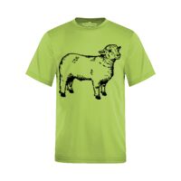 ACTIVE WEAR T-SHIRT YOUTH Thumbnail